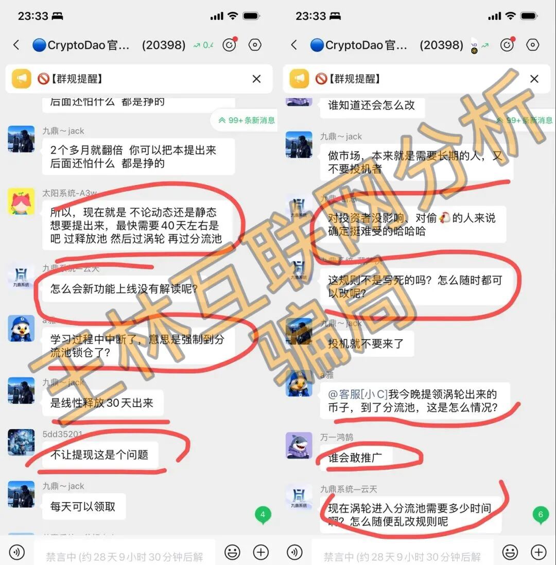 原文图片
