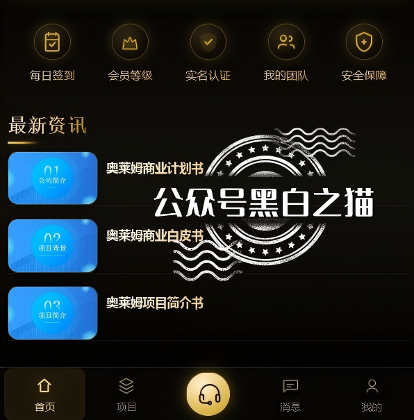 原文图片